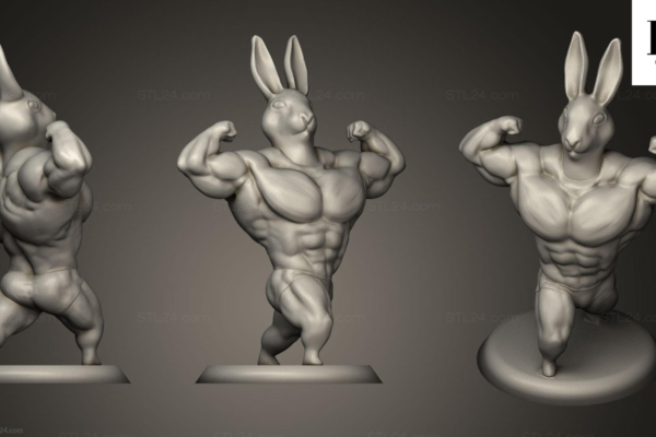 ceram rabit muscle gorwth in one litte pose