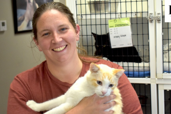 oconto area humane society inc news